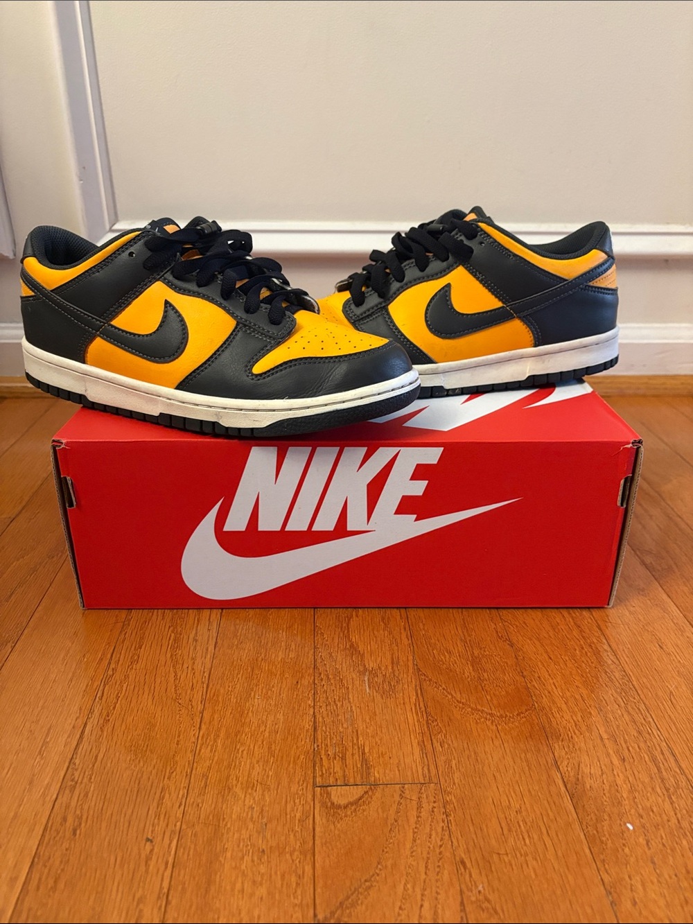 Nike Dunks Kids Low-Top Sneakers in Black and Gold